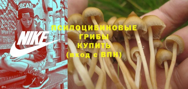 стафф Абдулино